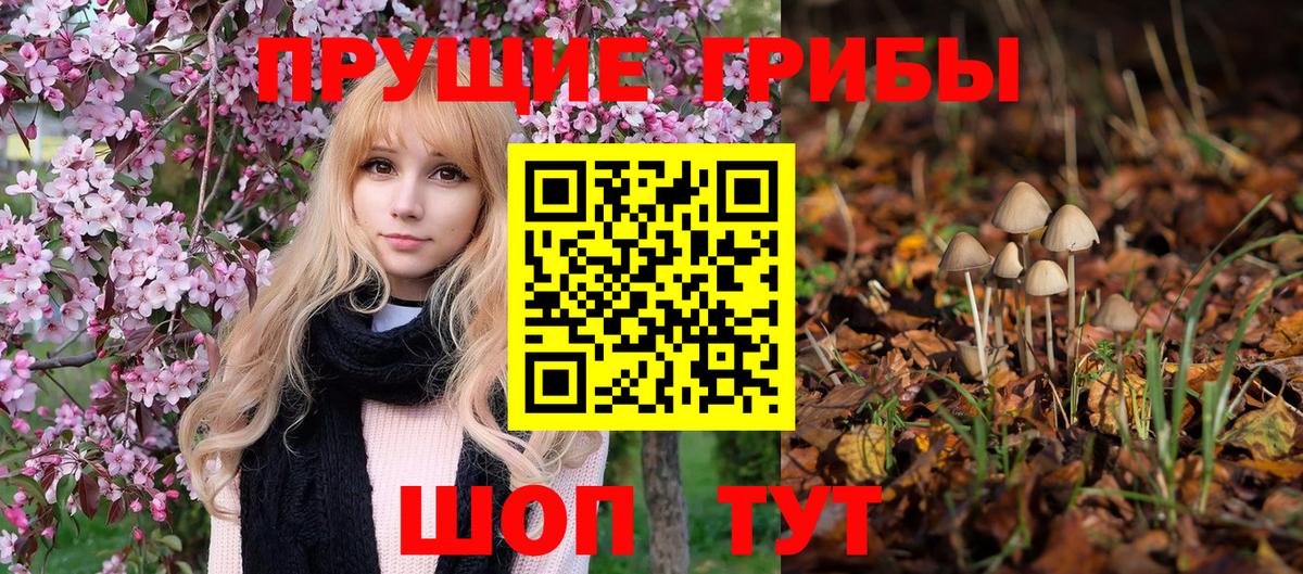Нальчик  Галлюциногенные грибы Magic Shrooms  Вход с VPN 