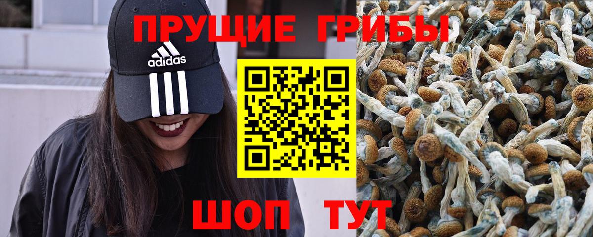 Псилоцибиновые грибы Magic Shrooms Нальчик
